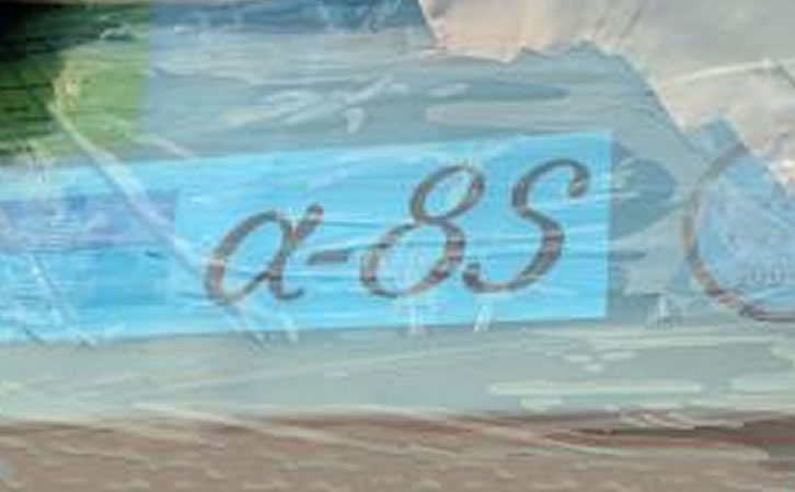 TEL ALPHA 8SߜؔU(ku)ɢt