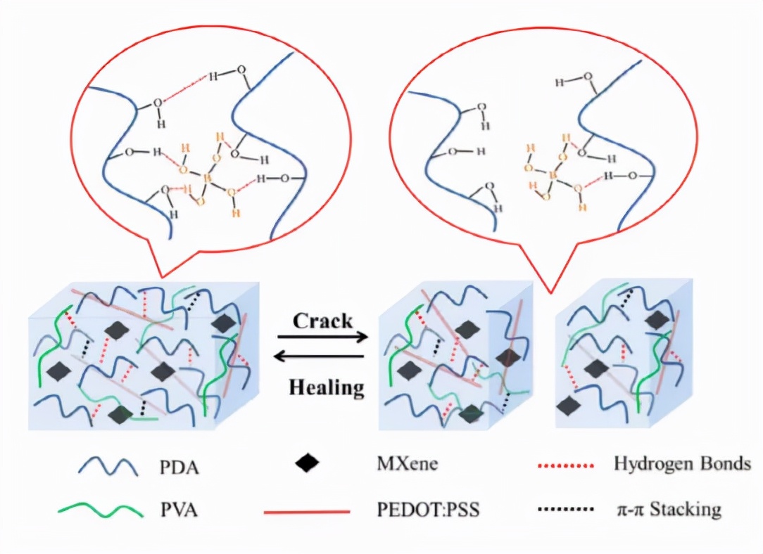 快速自愈聚乙烯醇水凝膠作為高靈敏度應變/壓力傳感器的構建塊