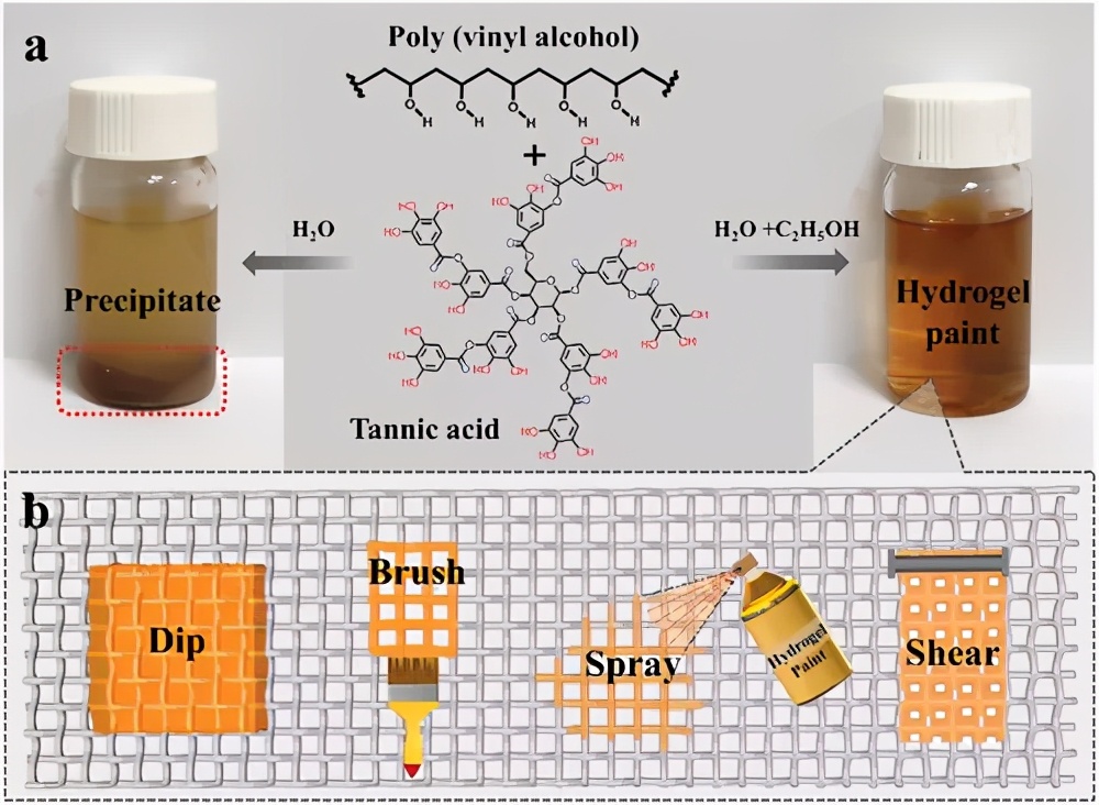 制備用于油/水分離的水凝膠涂料、一種溶劑調節的氫鍵交聯策略